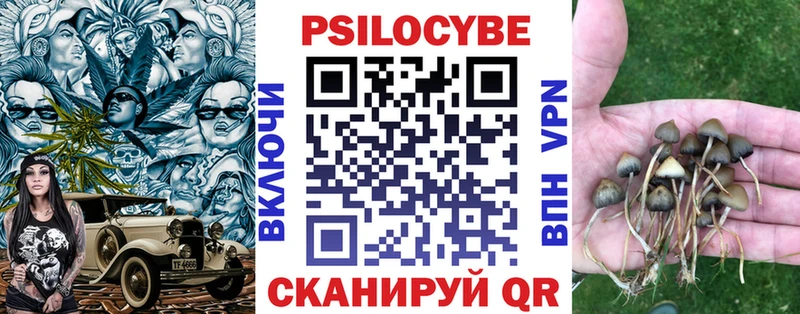 закладки  Грозный  Псилоцибиновые грибы GOLDEN TEACHER 